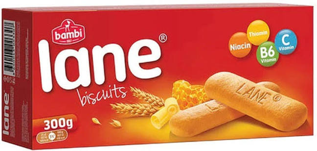 PLAZMLANE - BISCUITS NATURE - 300g